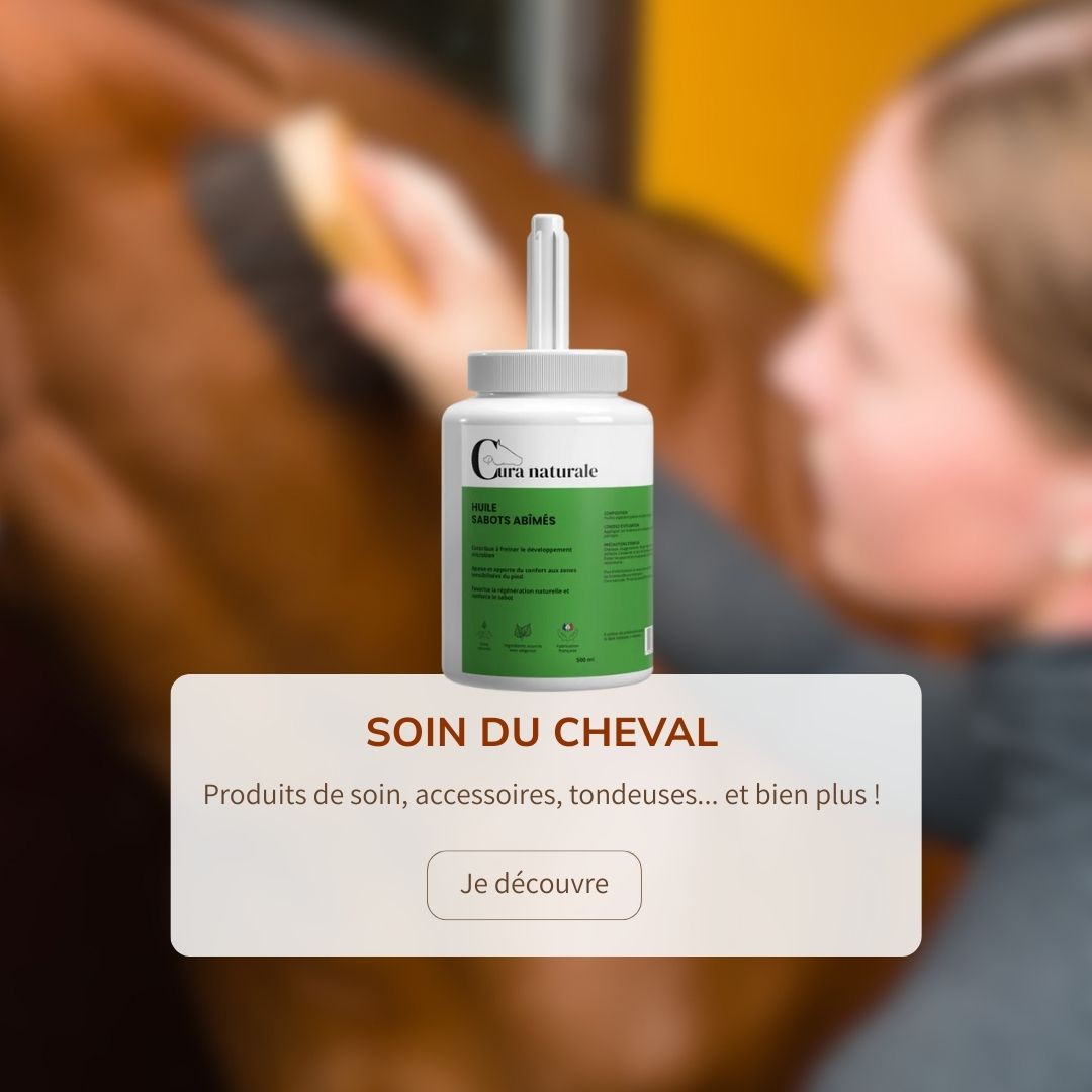 Soin du cheval